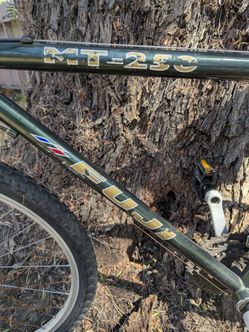 Fuji Mountain Bike MT-250