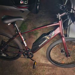 Schwinn E Bike