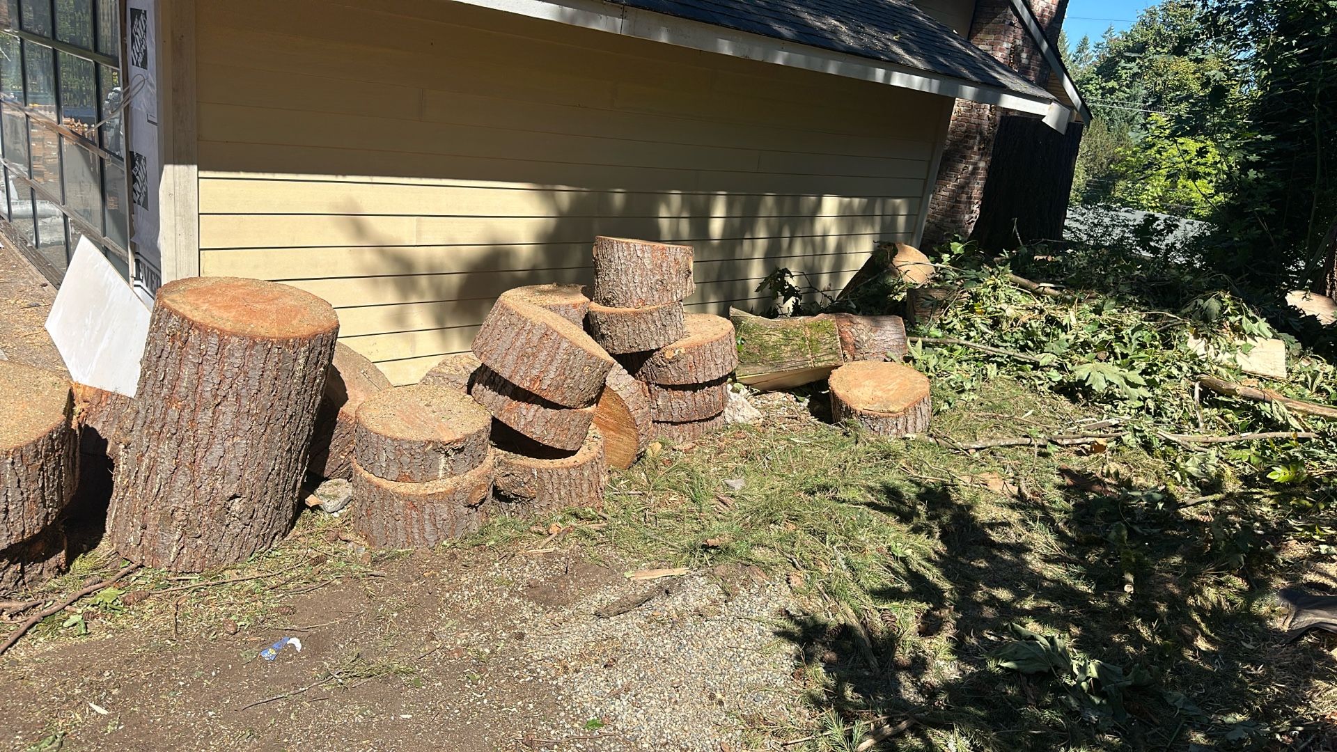 Free Cedar And Fir Wood Today, Bellevue 