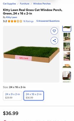 Kitty Lawn Real Grass Cat Window Perch