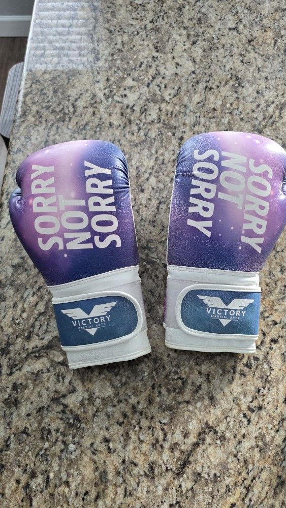 Victory Martial Arts Boxing Gloves