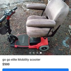 Gogo Scooter