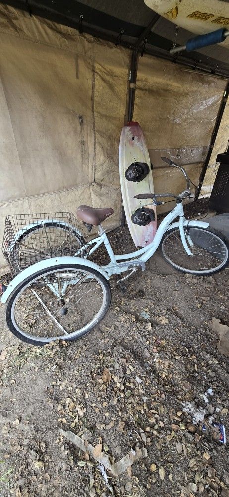 Schwinn Meridian Tricyccle with rear basket