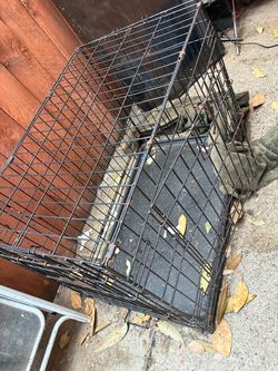 dog crate