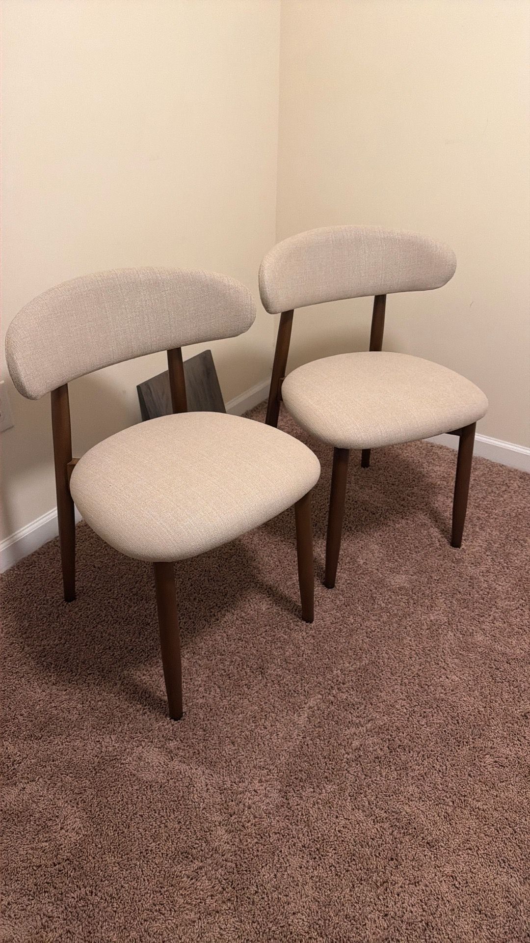 Two Dining Chairs