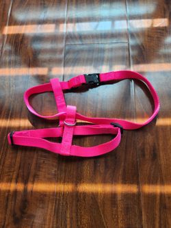Adjustable Dog Harness Leash in Hot Pink (Large)