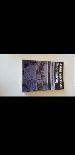Asian American Panethnicity book