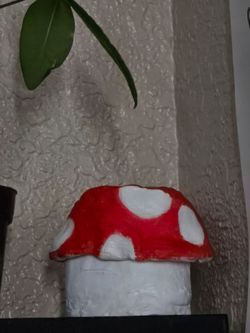 Mushroom vase