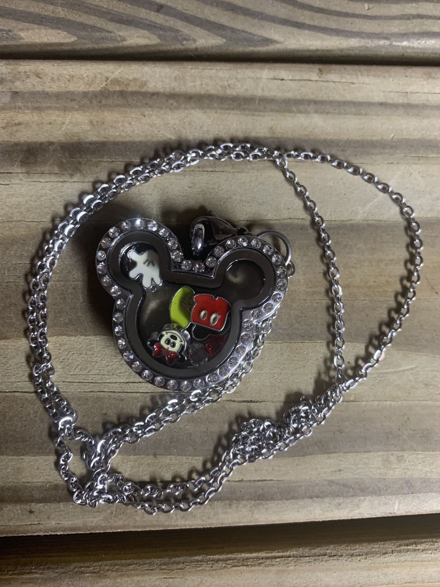 Disney Theme Necklace/ Locket