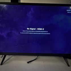 Vizio 32” HD TV (Model D32h-J09) - Great Condition
