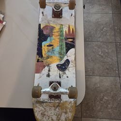 Skateboard cowtown complete