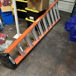 Werner 10’ Ladder