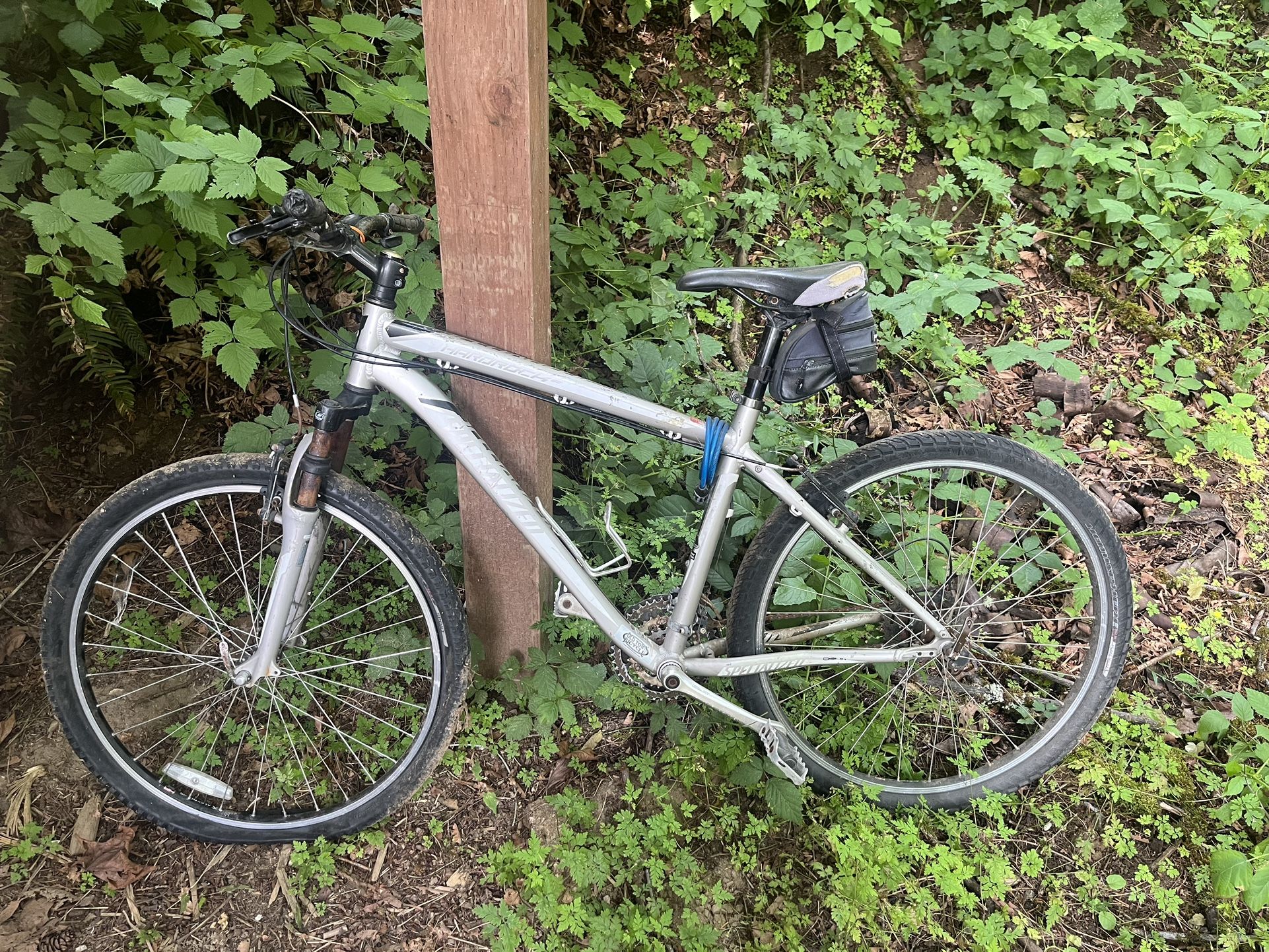 Specialized Mountain Bike