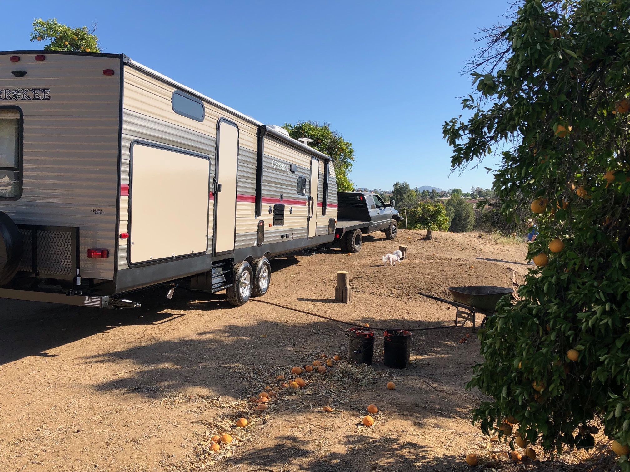 2018 Forest River Grey Wolf 394bh
