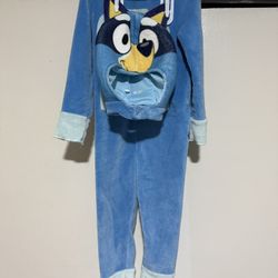 Bluey & Bingo Costumes