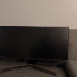 LG 29” Ultra Wide Monitor 