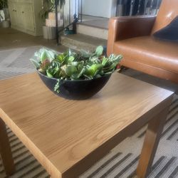 Succulent Arrangement