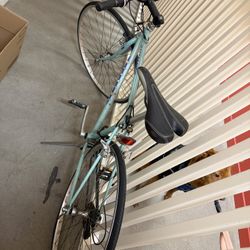 1993 Bianchi Boardwalk Bike 