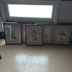 6 Piece Floral Wall Art