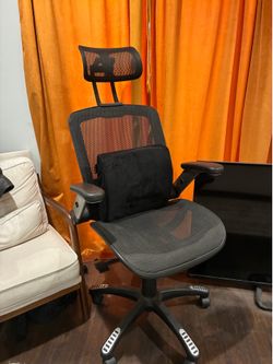 Ergonomic Adjustable Office Chair