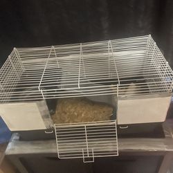 Rat Cage 