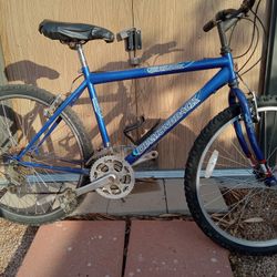 Diamondback Outlook Blue Medium