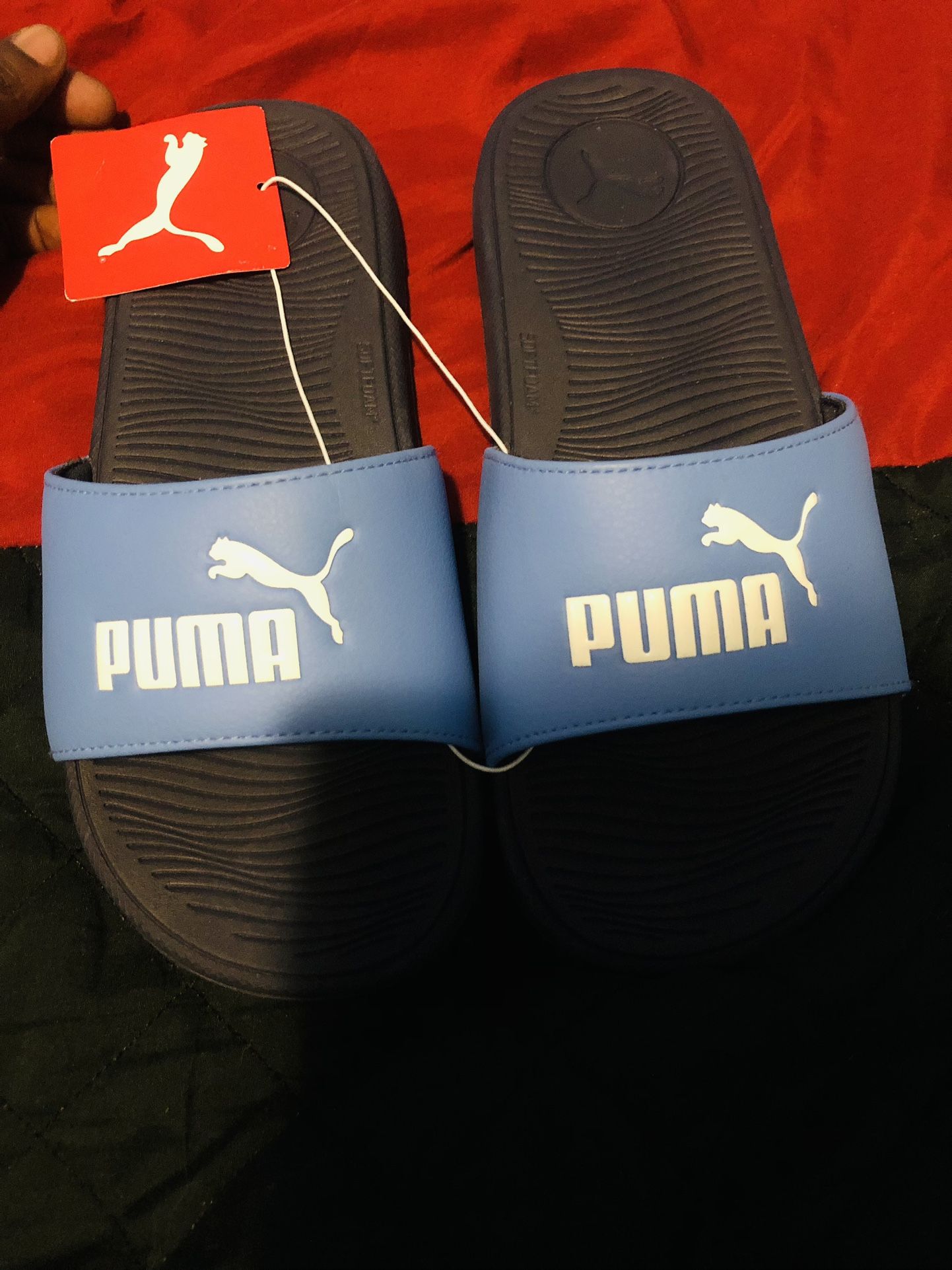 Puma