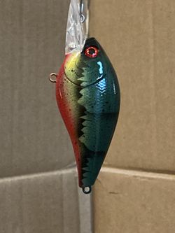 Custom painted winter craw 2.5