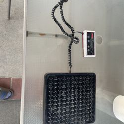 Rubbermaid Commercial 400 lb Digital Platform Scale