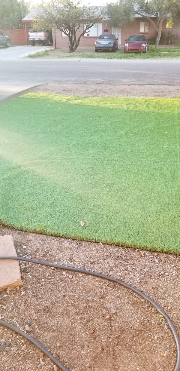 ARTIFICIAL TURF / PACIFICO 60 for Sale in Tucson, AZ OfferUp