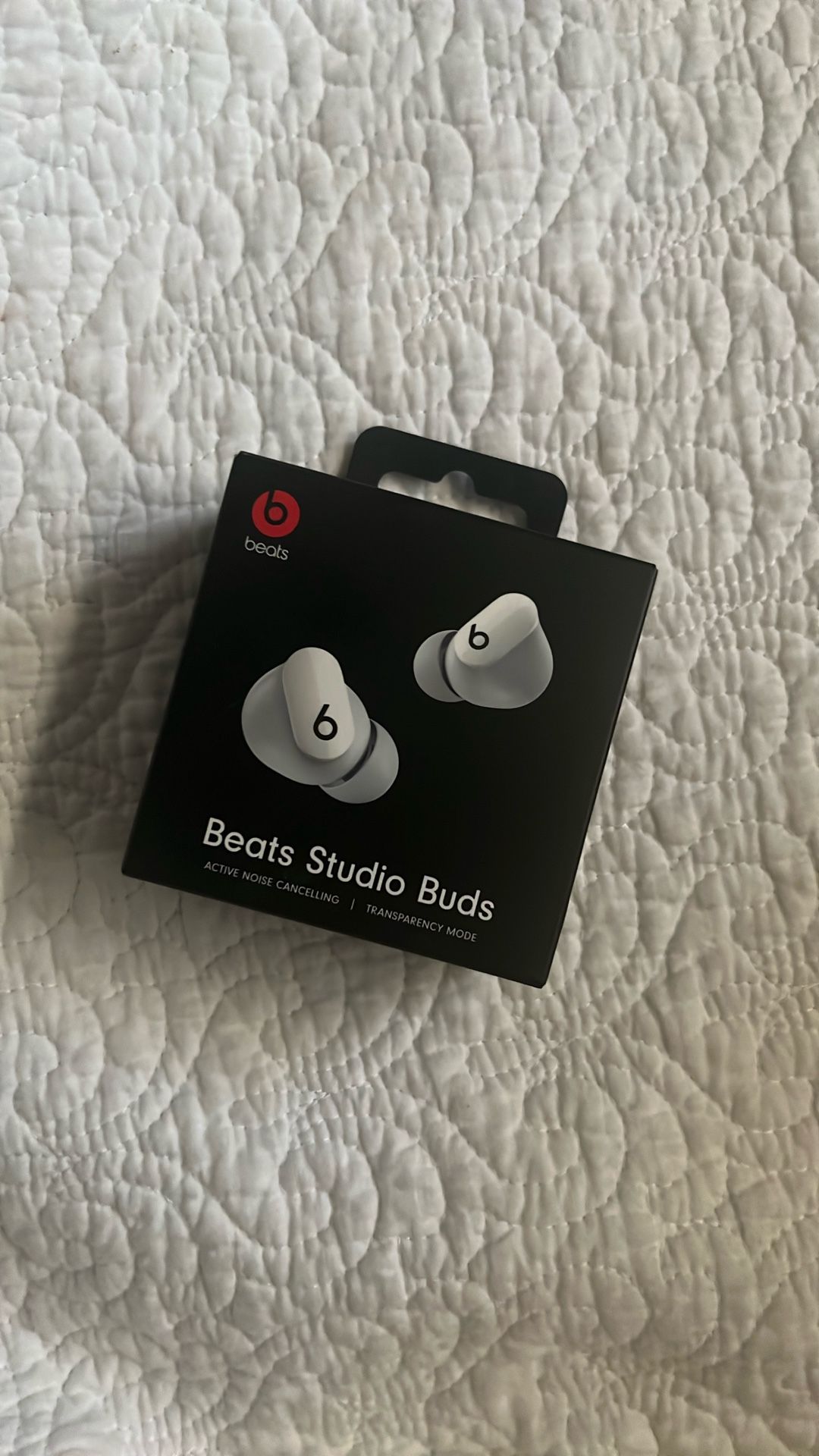 White Beats Studio Buds