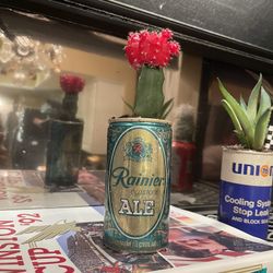 Vintage Reiner Ale Beer Can With Cactus 