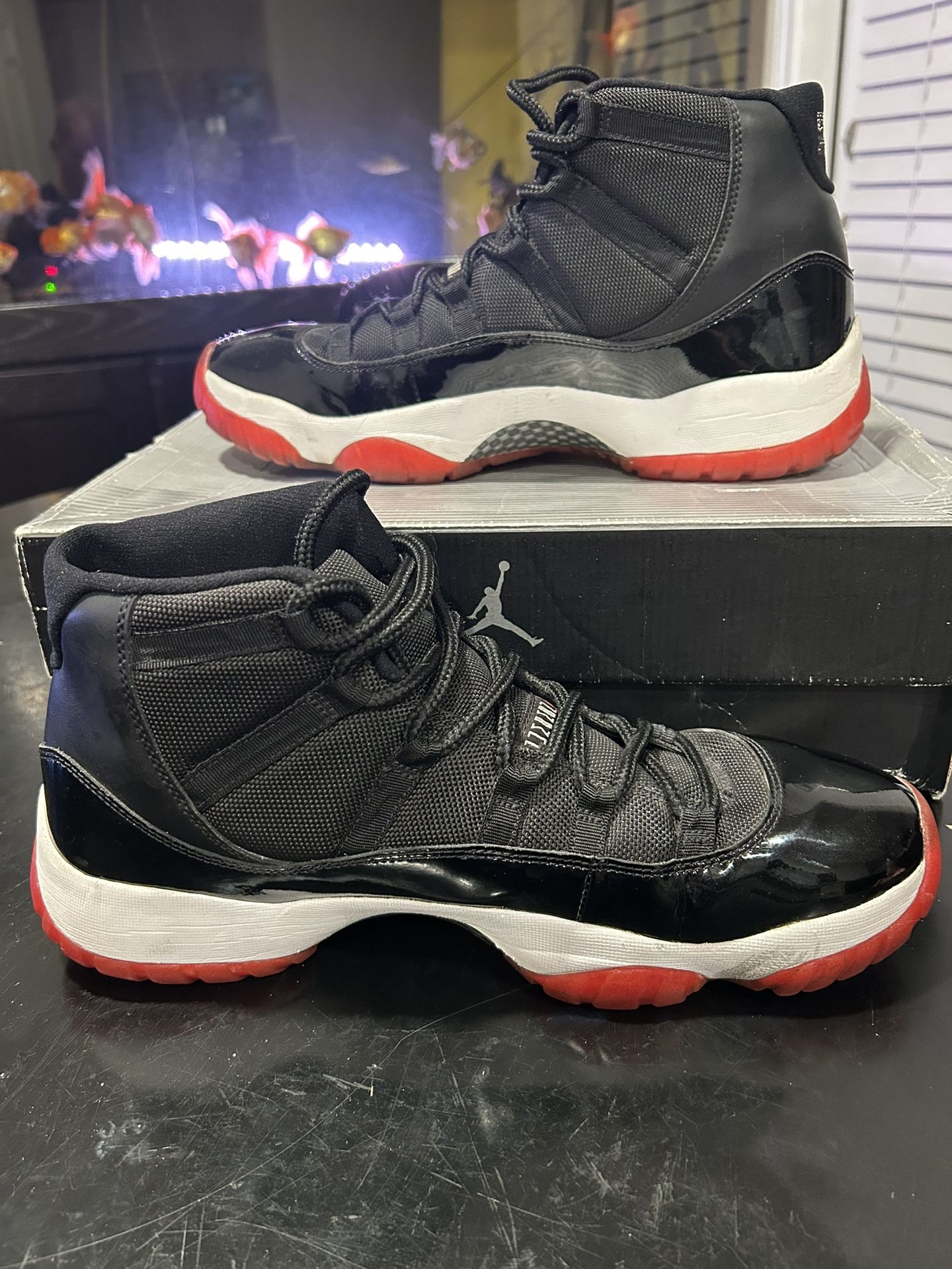 Jordan 11 Breds Size 12