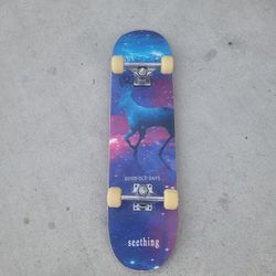 Skate Board