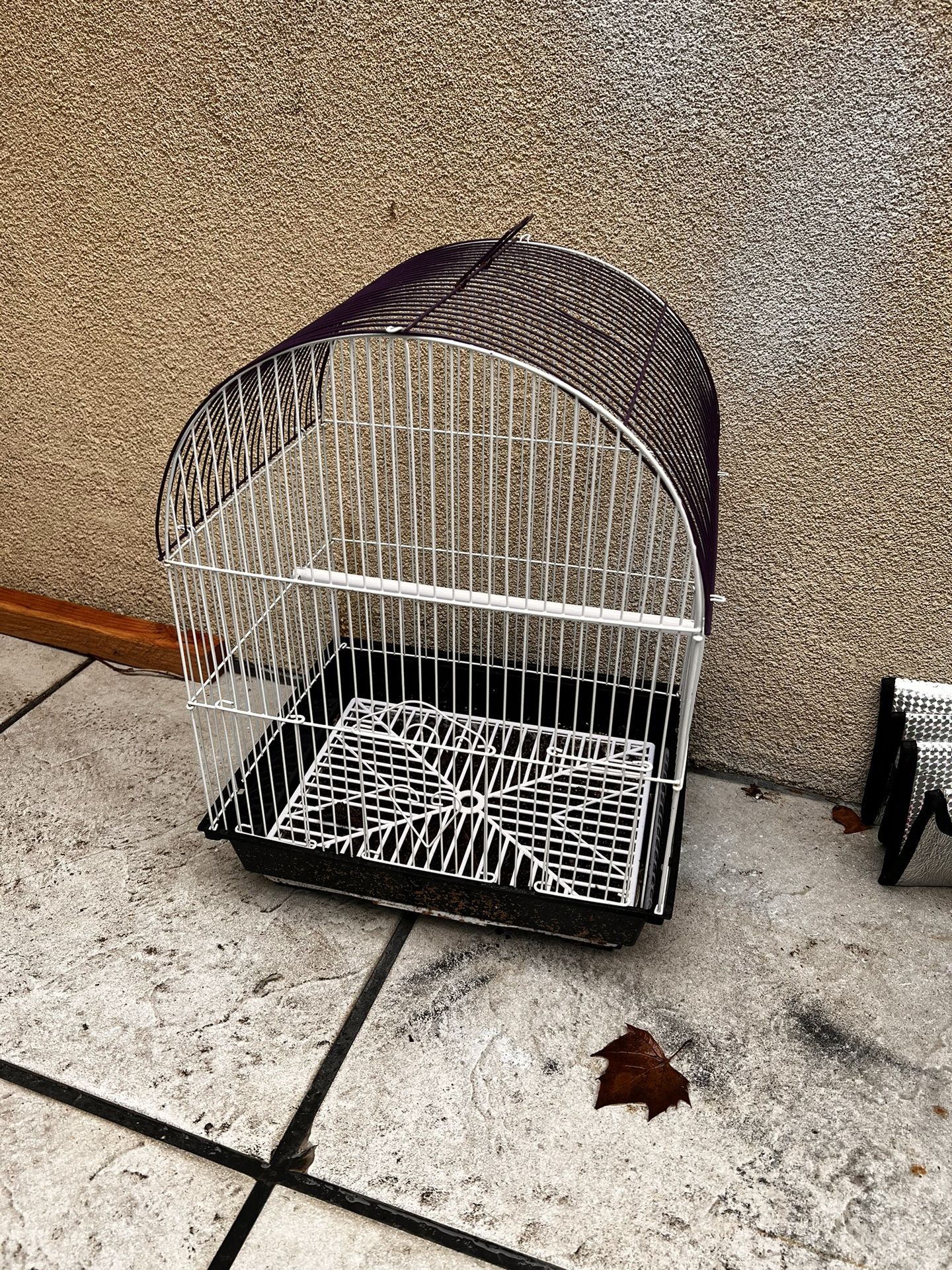 Bird Cage