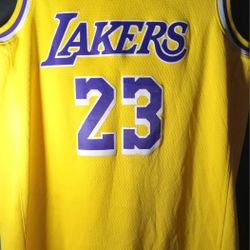 LeBron James LAKERS #23 Gold Jersey