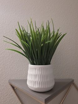 Faux Grass Plant