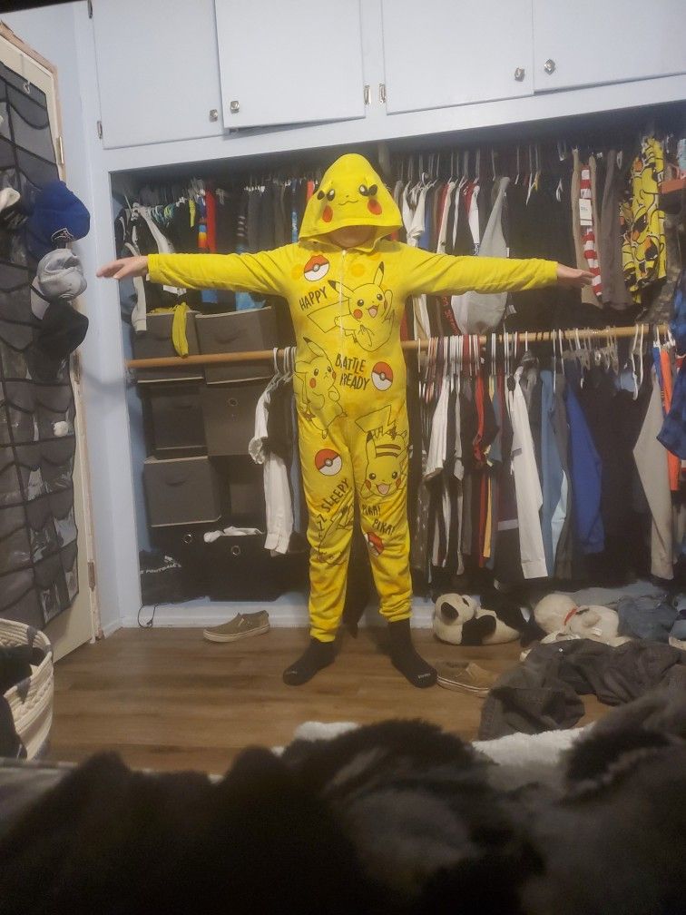 Pikachu Stuffed Animal Slave For About 6-7 Moneys