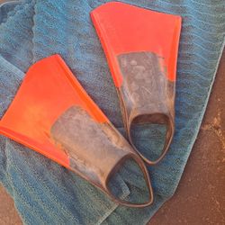Redley FINS 