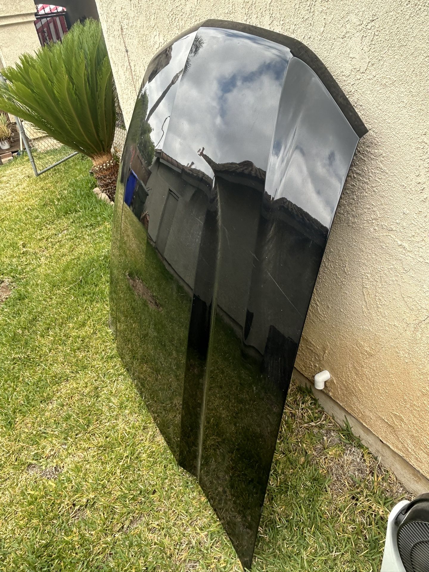 Mustang Hood
