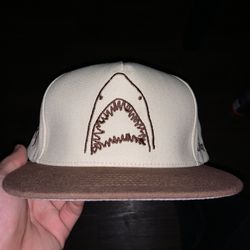 Shark Hat 