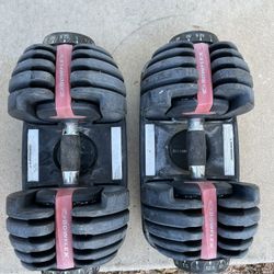 Bowflex Selecttech 552 Adjustable Dumbbell Set Weights