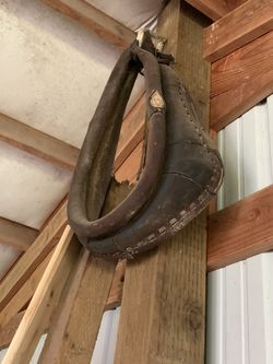 Horse haulter