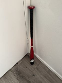 Easton Youth Baseball Bat $10