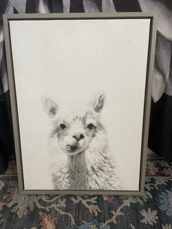 Llama 🦙 Portrait Picture