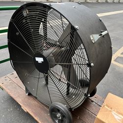 Fan 