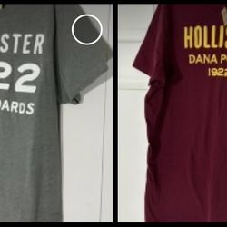 Hollister T-Shirts- Men
