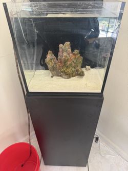 Innovative Marine Nuvo Fusion AIO Cube Aquarium Fish Tank & Stand