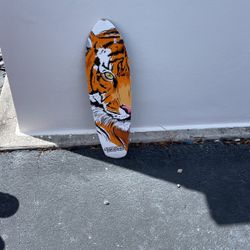 Skateboard No Wheels 