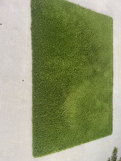 Green area rug